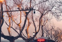 岁月青涩，青春激荡（探索梦想的年代）