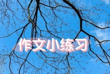 我的小世界——一位普通人的生活故事