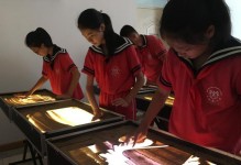追寻内心的自由（用心感受世界）