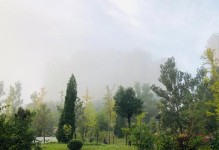 阳光下的约定（校园风景之旅）
