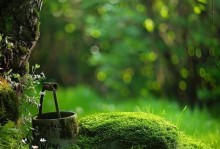 美好梦境：一个人的心灵疗愈之旅