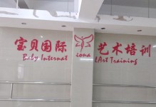 的流畅度和表达能力。