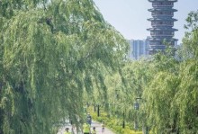 跑出不一样的自己（艰苦跑步，砥砺意志，成就辉煌）