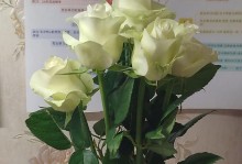 妈妈的手机瘾（一场无声的战争）