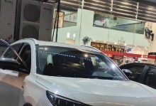 永不退缩的勇气（一名年轻警察的成长经历）