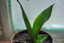 从希望开始（一段发生在小镇上的故事）