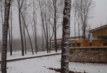 《冬日白雪》