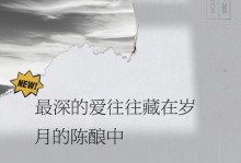 深情父爱（永恒的陪伴）
