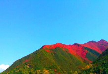 寻找真正的自己（心中的那一抹风景）
