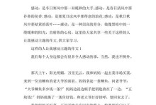 那个与众不同的男孩（他的人生，他的信念，他的启示）