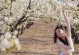 追逐春夏秋冬——四季变幻的壮丽（以节气为引，以人物为镜，描绘大自然的神奇）