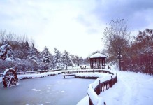 TheFirstSnowofWinter（ATaleofJoyandAdventure）