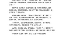 寒假趣事（和好友一起享受乐趣）