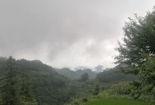 绿树成荫的故事（一段关于家乡的传说）
