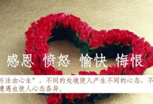 无私的爱与感恩的回报（无私的爱与感恩的回报）