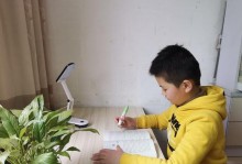 生命之冰雪岁月——我在寒假的日子