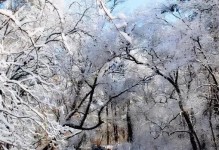 浓情暖意，永不褪色的回忆（用心感受人生，细数岁月长河中的幸福时刻）
