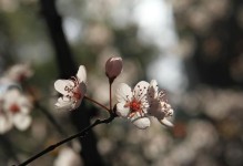 春寒料峭里的温暖（一个平凡人的温暖行动）