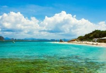 海水中的美味（海鲜餐厅的故事）
