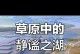 穿越森林，探寻大自然的神秘（一个年轻探险家的奇妙之旅）