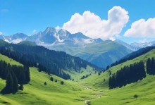 一场美好梦境的探秘之旅（一个女孩追逐梦想的故事）