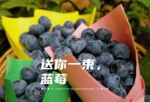 好好照顾自己，才能更好地生活（爱自己，活得更精彩）