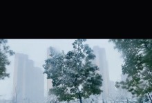 初雪落定