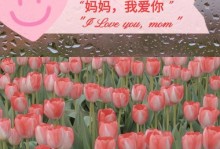 母爱无处不在（一位母亲的不离不弃）