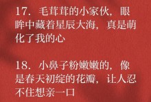 小乖，我心中的最佳伙伴（描写它独特的外形特点）