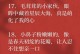 小乖，我心中的最佳伙伴（描写它独特的外形特点）