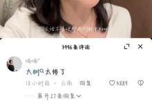 一位神秘歌手的故事（一位神秘歌手的故事）