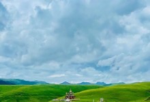 绿色的奇妙旅程