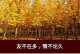 付出与收获（一颗种子的成长之路）