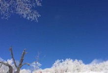 南方的雪梦（冬日里的孤独与温暖）