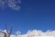 南方的雪梦（冬日里的孤独与温暖）