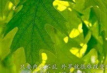 快乐人生（追寻梦想的路上）