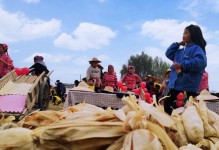 破茧成蝶——一个小女孩的自力更生之路（青山不改，绿水长流——民族精神的强大力量）