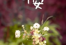 自我超越，快乐成长（一个小学生的成长故事）