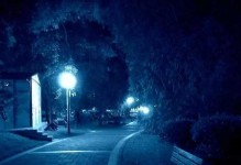 第一次挑战走夜路（勇敢面对未知的恐惧）