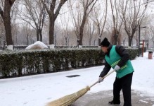 雪中的故事（冬日的印记）