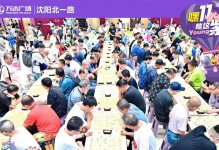 棋之人生：一位国际象棋大师的成长历程
