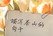 征服泰山（一个人的壮举）