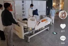 她们是伟大的（母亲，女警，医生）