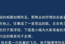 友谊从此开始（两位陌生人的奇遇）