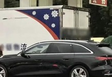 珍宝之谜（探寻失落的财富）