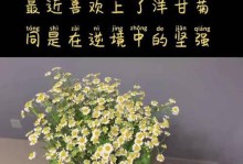 少年的成长之路（少年的成长之路）