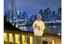 追逐梦想的路（年轻人的不懈努力）