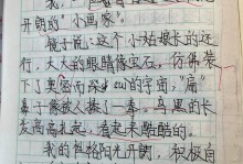 一段孤独的旅程（探索内心的世界）