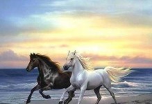梦想的路上（一个少年的奋斗史）