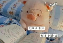 追寻无尽智慧的路上（追寻无尽智慧的路上）